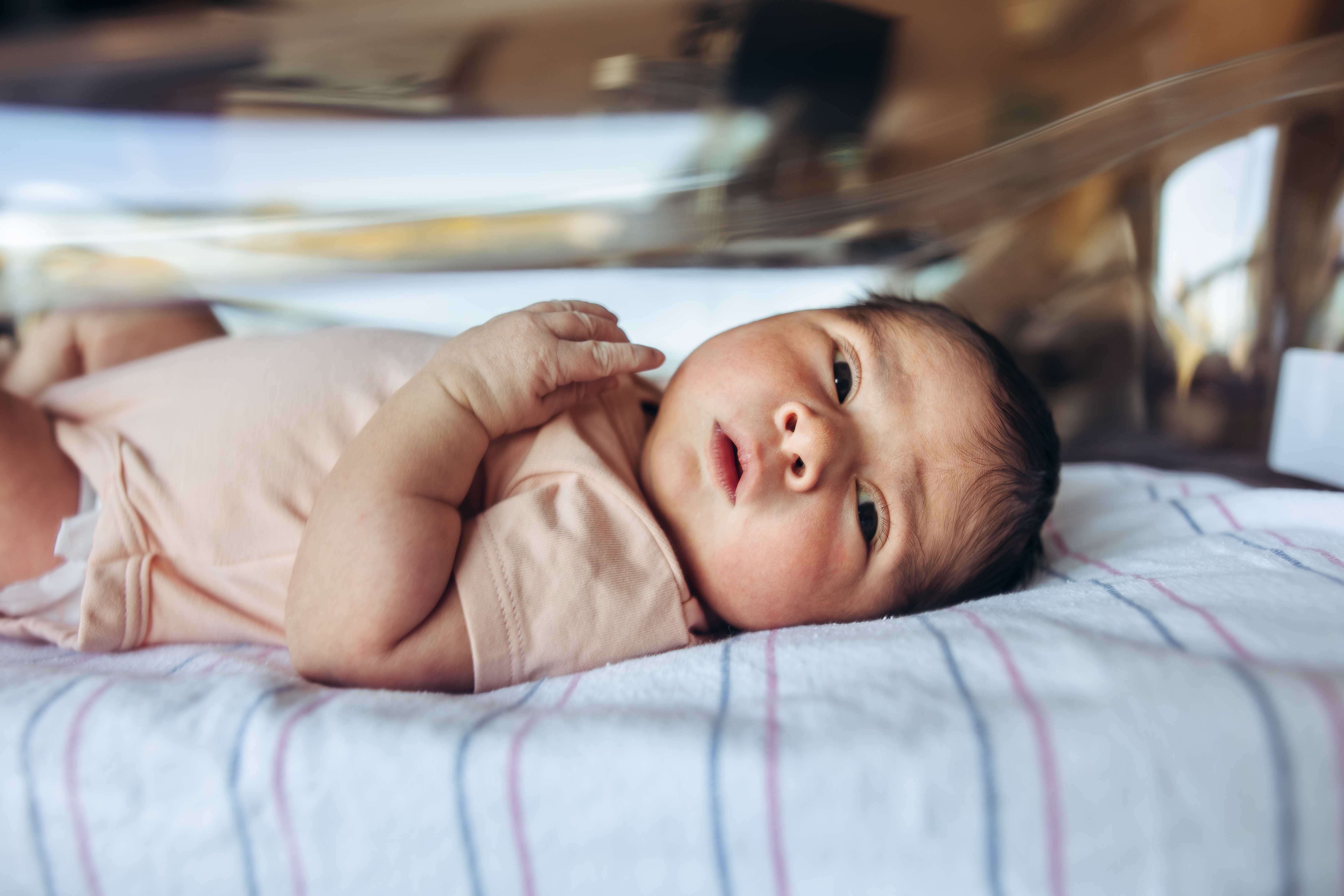 A newborn resting in a hospital bassinet in soft natural light